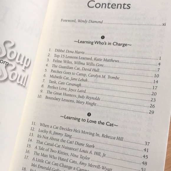 2/$10 Chicken Soup For The Soul | What I Learned From the Cat | 101 Stories - Picture 5 of 10